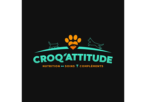 Logo PET SOLUTIONS
