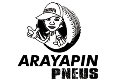 Logo ARAYAPIN PNEUS