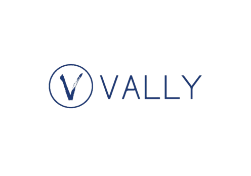 Logo VALLY