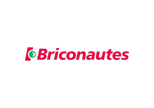 Logo BRICONAUTES