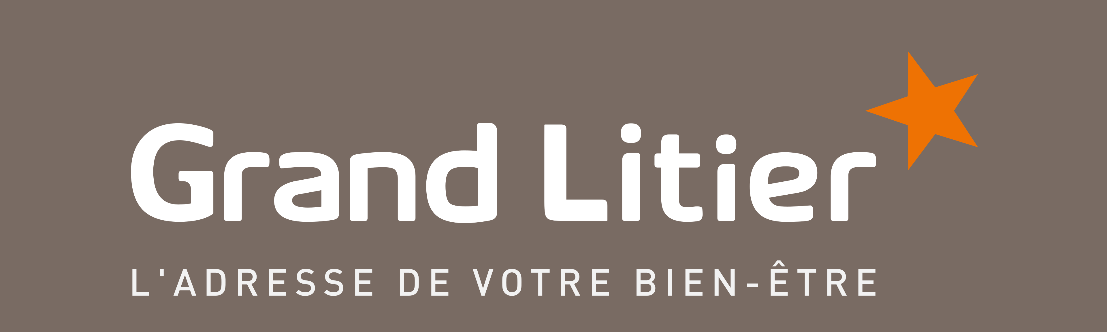 Logo GRAND LITIER